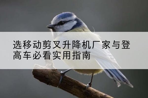 湄潭电动升降机厂家-选移动剪叉升降机厂家与登高车必看实用指南
