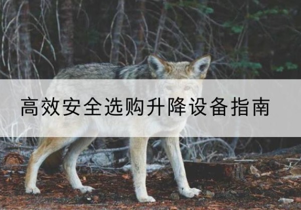 湄潭升降货梯厂家推荐-*安全选购升降设备指南